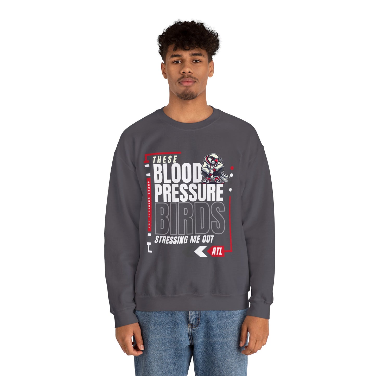 Blood Pressure Birds - Cozy Streetwear for Casual Outings
