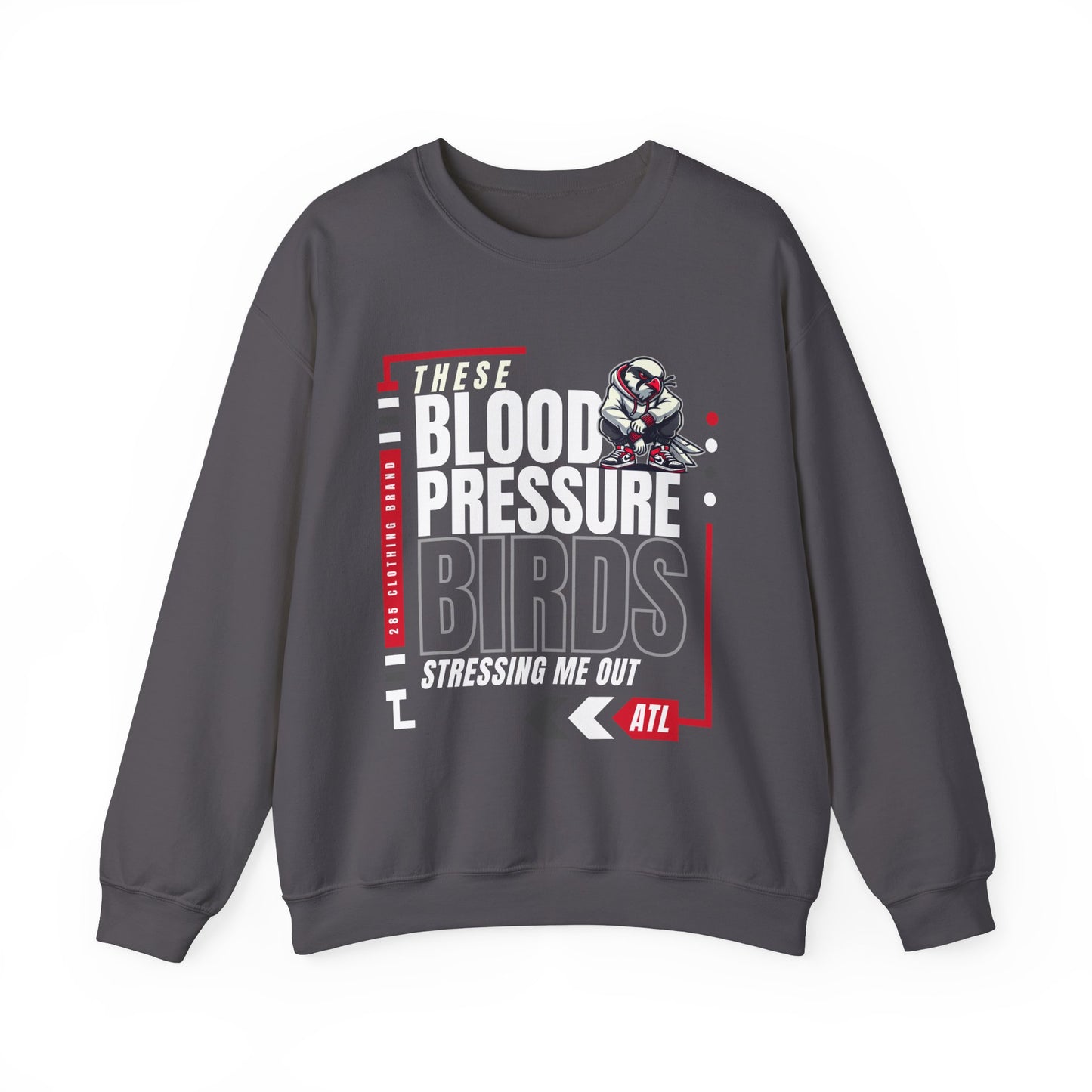 Blood Pressure Birds - Cozy Streetwear for Casual Outings