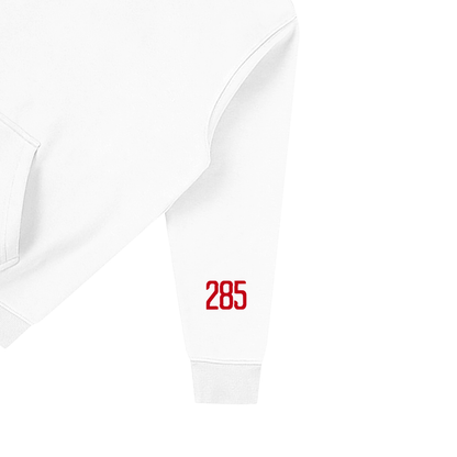 Blood Pressure Birds Heritage Falcons Hoodie — White
