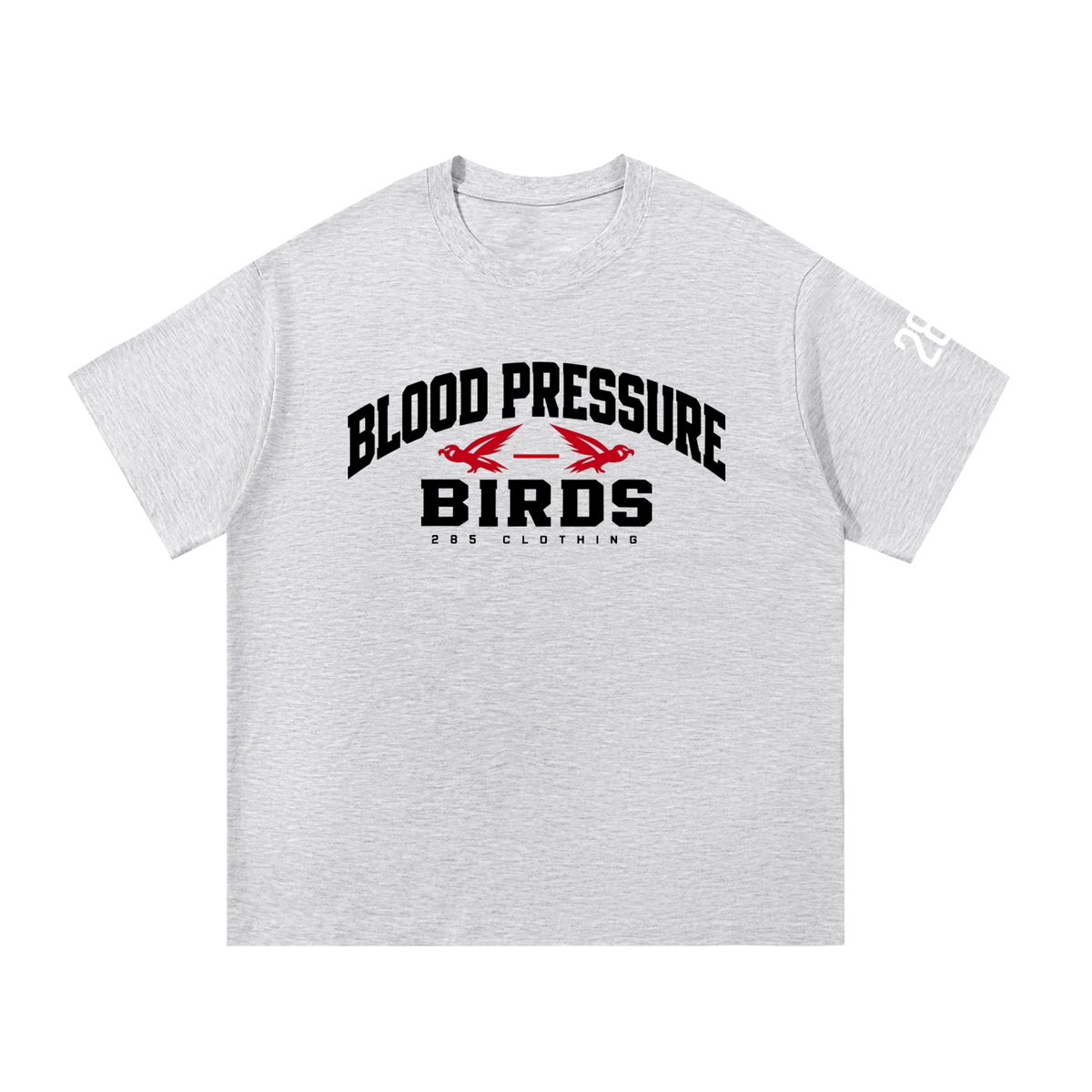 Blood Pressure Birds Heritage Falcons Tee — White Gray